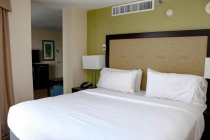 Holiday Inn Corpus Christi Downtown Marina an IHG Hotel - image 5