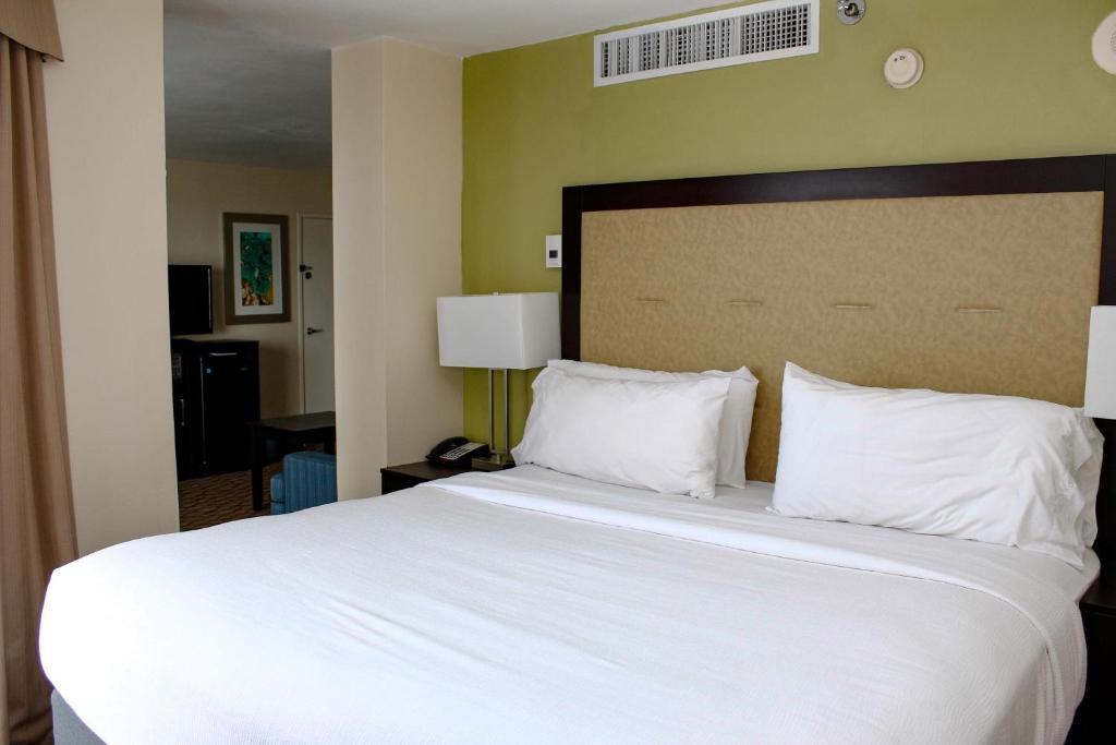 Holiday Inn Corpus Christi Downtown Marina an IHG Hotel - image 5