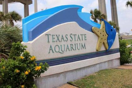 Corpus Christi Escape with Community Amenities! - image 17