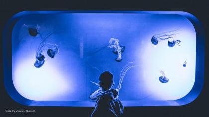 Awesome 365 #113 by Padre Escapes - image 2