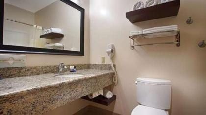 Best Western Plus Finger Lakes Inn & Suites - image 15