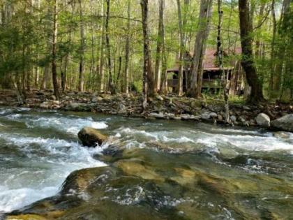Elk Run Cosby Tennessee