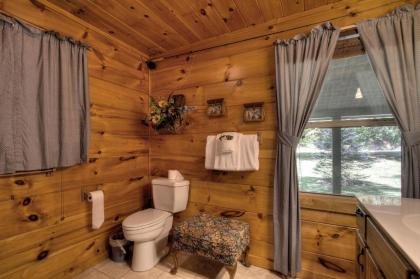 Living Waters #376 by Aunt Bug's Cabin Rentals - image 17