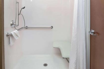 Microtel Inn & Suites by Wyndham Bluffs - image 13