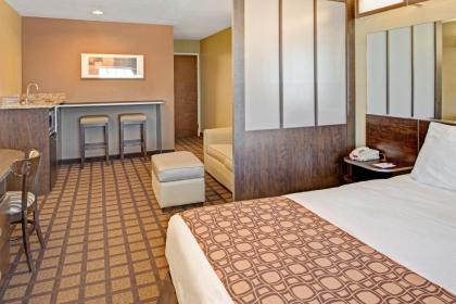 Microtel Inn & Suites by Wyndham Bluffs - image 2