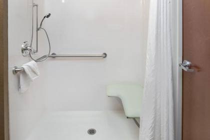 Microtel Inn & Suites by Wyndham Bluffs - image 4