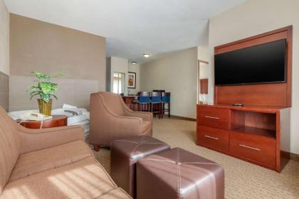 Comfort Suites Omaha East-Council Bluffs - image 9