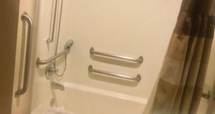 Best Western Plus Deer Park Hotel and Suites - image 10