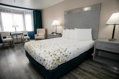 Anchor Beach Inn - image 13