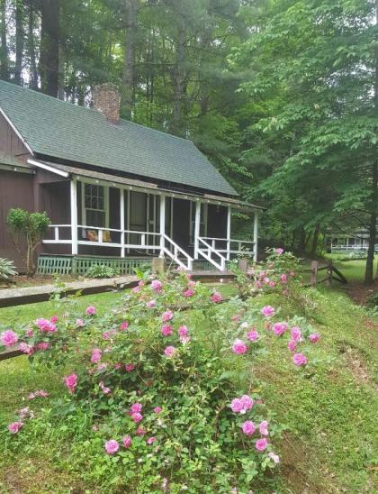 The Cabins at Healing Springs - image 9