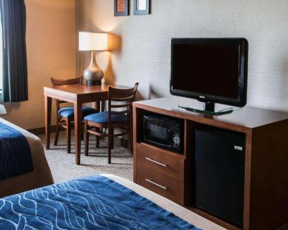 Comfort Inn Crystal Lake - Algonquin - image 4