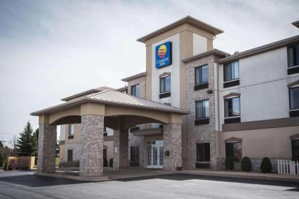 Comfort Inn Crystal Lake - Algonquin - image 9