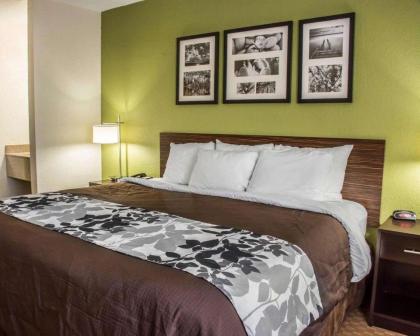 Sleep Inn & Suites Cullman I-65 exit 310 - image 8
