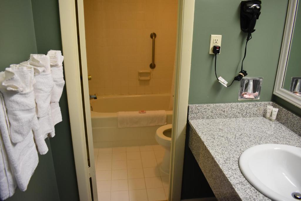 Red Carpet Inn & Suites Culpeper - image 4