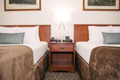 Best Western Buffalo Ridge Inn Near Mt Rushmore - image 8