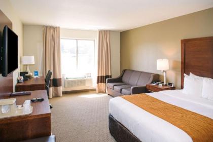 Comfort Inn & Suites Near Custer State Park and Mt Rushmore - image 10