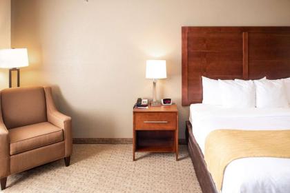 Comfort Inn & Suites Near Custer State Park and Mt Rushmore - image 14