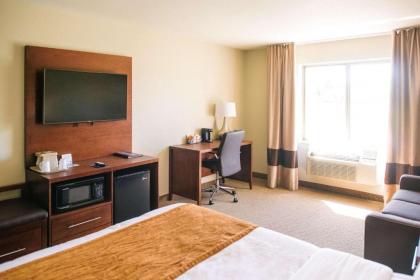 Comfort Inn & Suites Near Custer State Park and Mt Rushmore - image 9