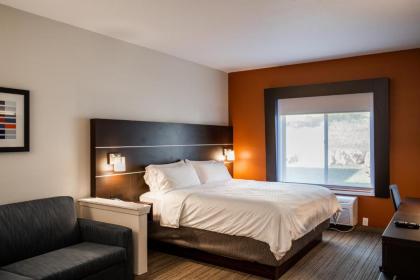Holiday Inn Express & Suites Custer-Mt Rushmore - image 13