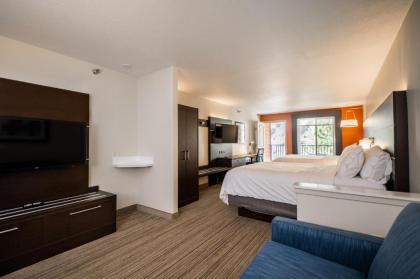 Holiday Inn Express & Suites Custer-Mt Rushmore - image 15