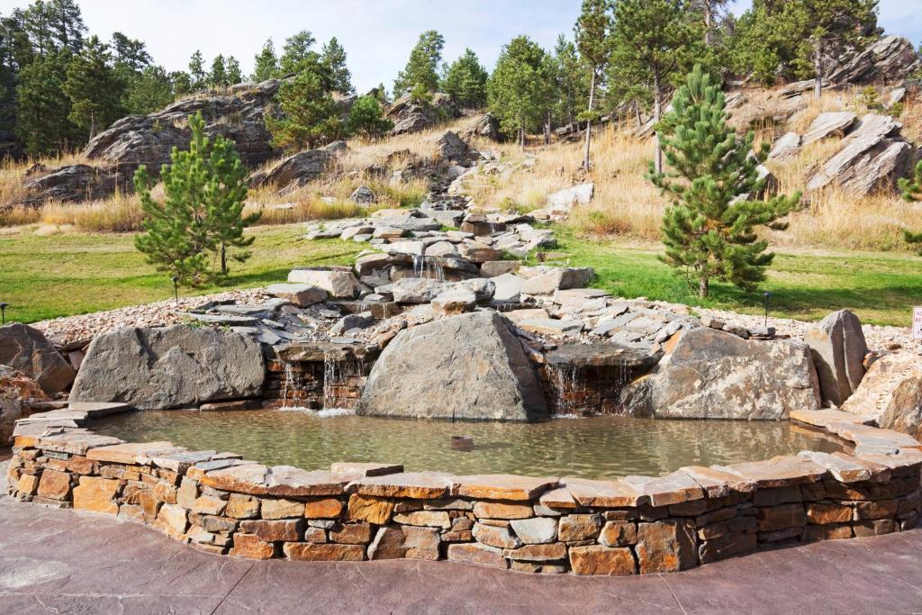 Holiday Inn Express & Suites Custer-Mt Rushmore - image 4
