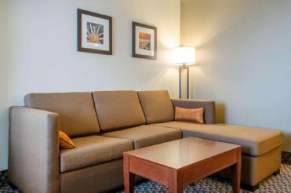Comfort Inn & Suites - image 3