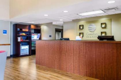 Comfort Inn & Suites - image 5
