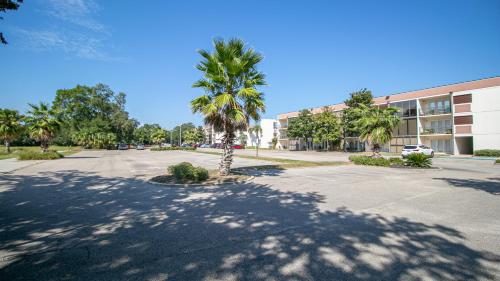 Ocean Club by Biloxi Beach Resort Rentals - image 3