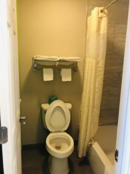 Flamingo Beach Inn - image 3