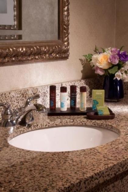 Embassy Suites by Hilton Dallas Near the Galleria - image 4