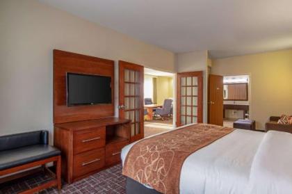Comfort Suites NW Dallas Near Love Field - image 2