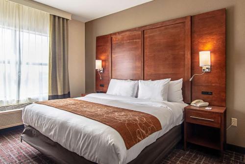 Comfort Suites NW Dallas Near Love Field - image 3