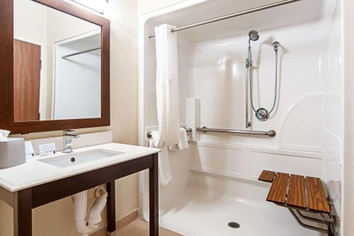 Comfort Suites NW Dallas Near Love Field - image 4