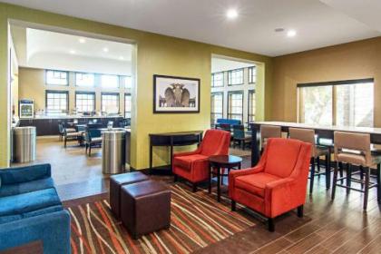 Comfort Suites NW Dallas Near Love Field - image 5