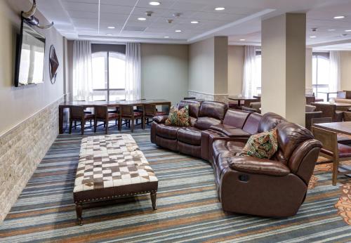 SpringHill Suites by Marriott Dallas Downtown / West End - image 4