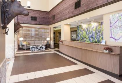 SpringHill Suites by Marriott Dallas Downtown / West End - image 5