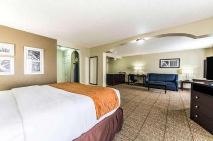 Comfort Inn Dallas Park Central - image 3