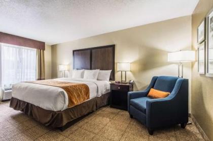 Comfort Inn Dallas Park Central - image 5