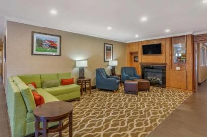 Comfort Inn & Suites North Dallas-Addison - image 2