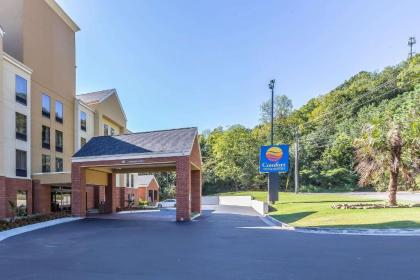 Comfort Inn & Suites Dalton - image 2
