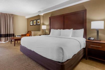 Comfort Inn & Suites near Danville Mall - image 15
