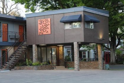 the Vine Inn Davis California