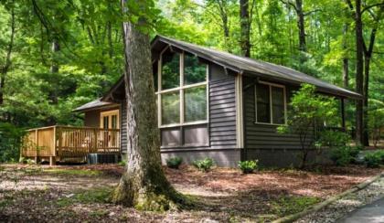 Amicalola Falls State Park and Lodge - image 15