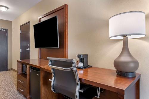 Comfort Suites Daytona Beach - Speedway - image 5
