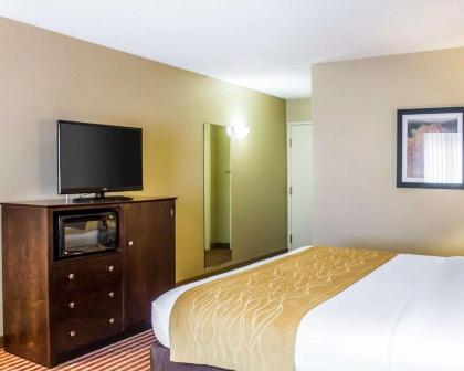 Comfort Inn & Suites - image 12