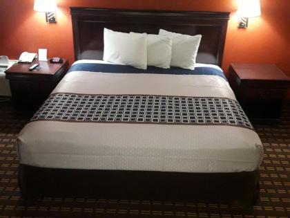Palace Motel - image 10