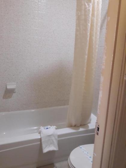 Palace Motel - image 11