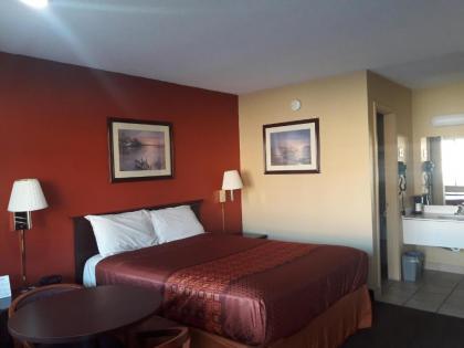 Palace Motel - image 13