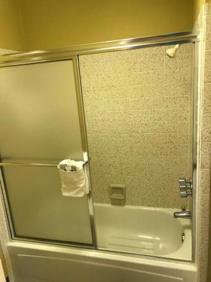 Palace Motel - image 3