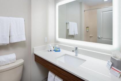 Holiday Inn Express Hotel & Suites Dallas South - DeSoto an IHG Hotel - image 15